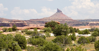 Canyon Lands Tower and Cedars